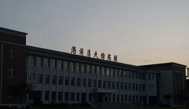 售后支持中如何应对销售等服务的常见问题？